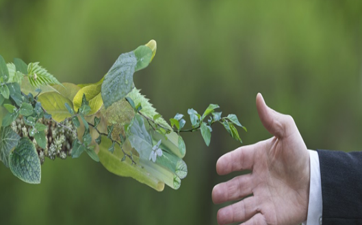 Engagements Environnementaux